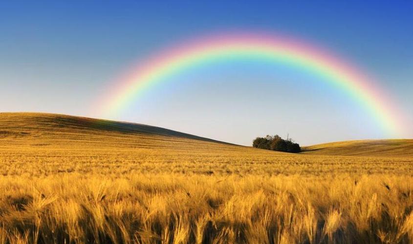 描写彩虹的抒情句子 彩虹有关的唯美句子