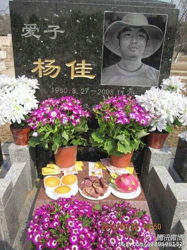 【清明节公众祭奠杨佳】