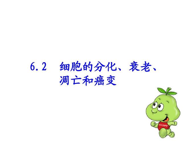 2 细胞的分化,衰老,凋亡和癌变