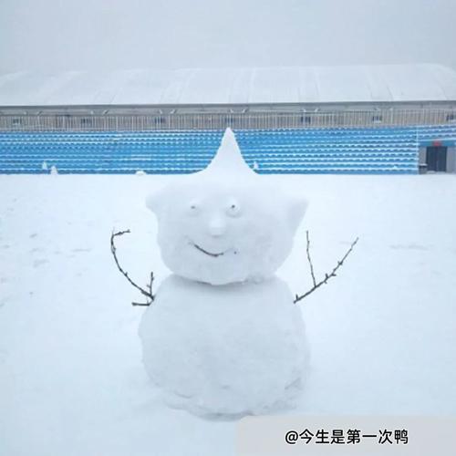这才是大连最牛的雪人!