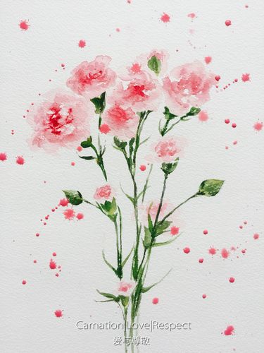 艺伙v课黄有维水彩教学,黄有维水彩康乃馨步骤分享