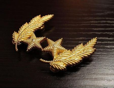 海陆空春秋常服领花式样