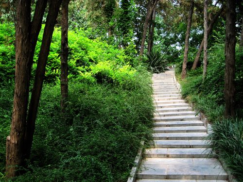 【紫荆山公园小景】-郑州论坛-zol中关村在线