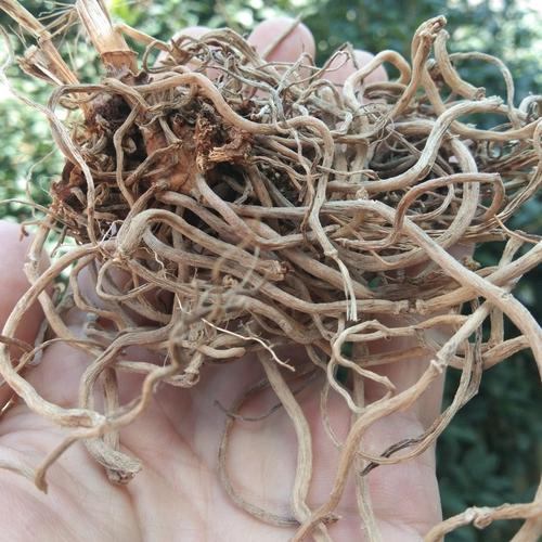 康中尊贵州百尾笋干货百味笋根万寿竹叶参倒竹伞宝铎草500克500g