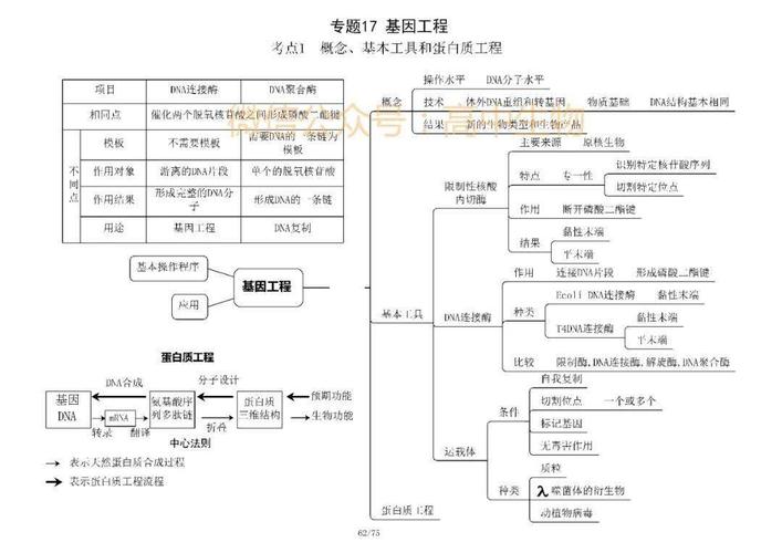【学霸脑图】高考生物选修一,选修三知识框架汇总!附电子版