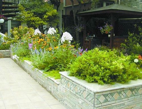 屋顶花池设计图