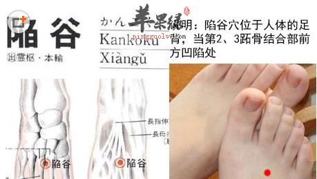 陷谷穴位位置图