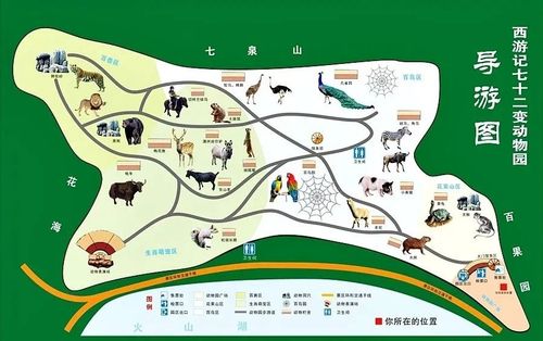 牛这个动物园30秒视频刷屏了随州人盼了十几年终于