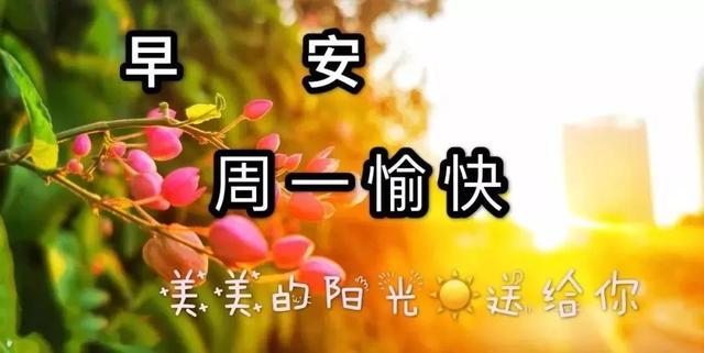 最新早上好特漂亮动态祝福图片带字,周一早安问候语表情图片