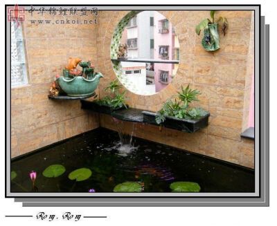 广州楼顶鱼池设计6