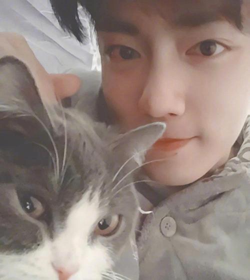 肖战太喜欢坚果:合格的猫奴不怕掉毛!获得毛裤一条!