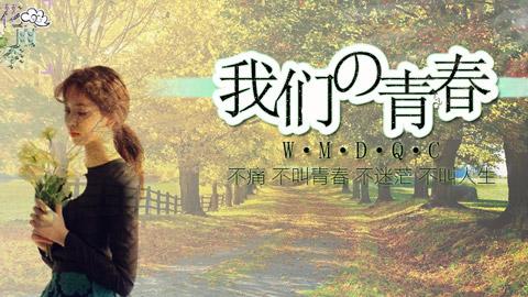 《我们的青春》是一款以明星现代tfboys 校园为题材的文字游戏,游戏