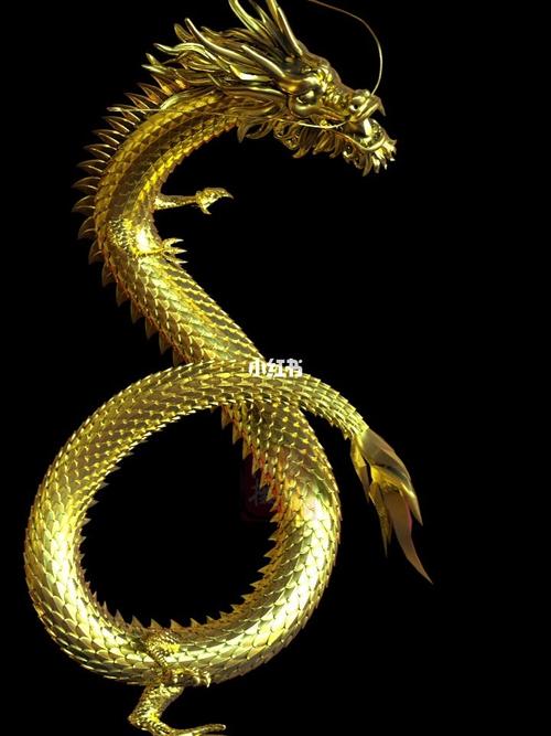 中国龙特效_黄金_时尚_配饰
