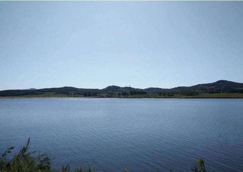 紧邻双阳肚带河水库的500亩油菜花刚刚绽放.
