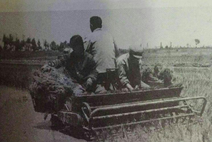 致一九六八年下乡到柏各庄农场四场四队的知青们