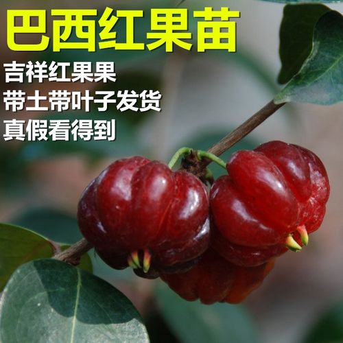 闲和庄线上开户