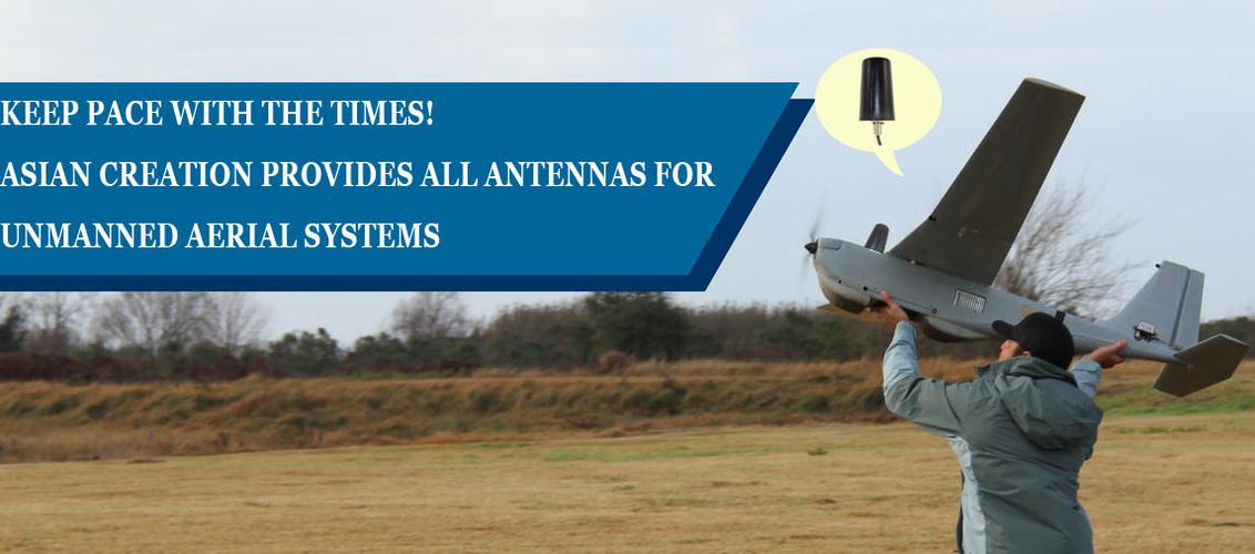 unmanned aerial system