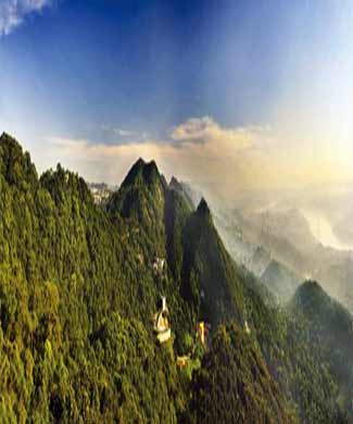 到歌乐山天池桂花基地赏最美花海