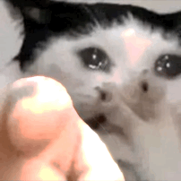 表情包|360°运镜指人gif表情包_腾讯新闻