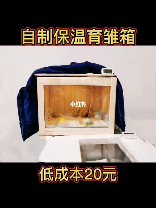 自制保温育雏箱芦丁鸡饲养箱低成本