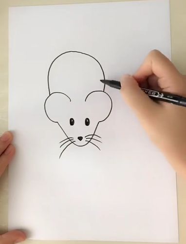 第五步:画出小老鼠的身体!