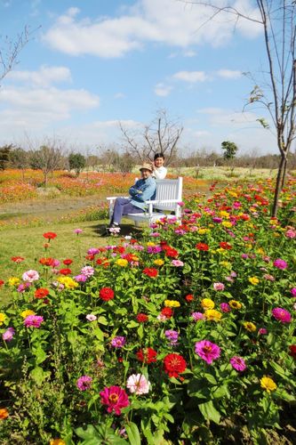 [10y1m金山]花开海上生态园