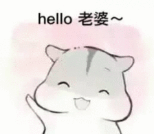 小松鼠(表情包)