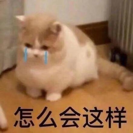 表情包闭上你的狗嘴