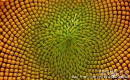 密集恐惧症的症状有哪些