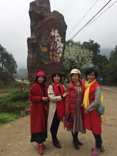 最是一年春好处,春风十里梨花谷.钦州板城镇碗窑村的