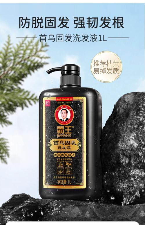 霸王洗发水控油蓬松何首乌固色洗发露固发去油洗发液