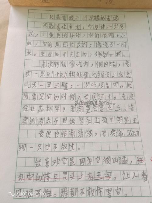 我最喜欢凶猛的老虎