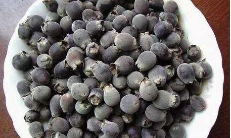 【异名】乌饭果,米饭果,纯阳子(《滇南本草》),冷饭果,乌鸦果,沙汤果