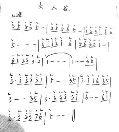 【女人花】入门曲谱_成都攻略_古筝_娱乐_音乐_音乐