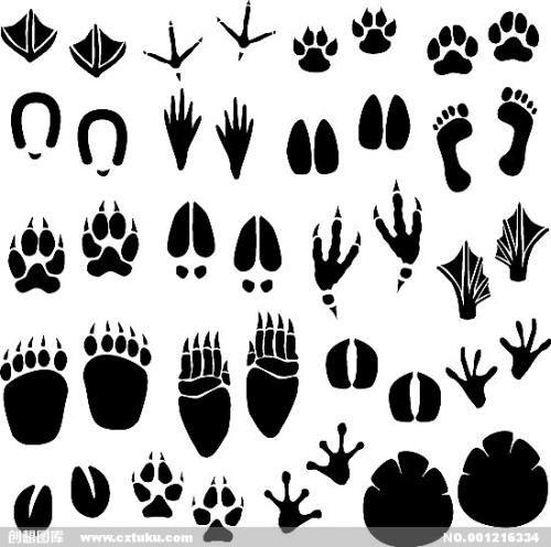 mengyufeihua-panda采集到简笔画 脚印 简笔_百度图片搜索 1 mengyu