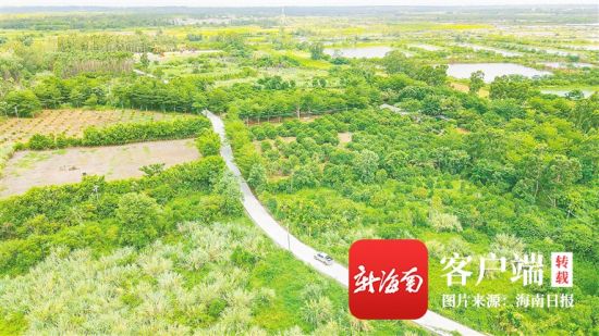 7月7日,俯瞰澄迈县福山镇花场村通往富力地产公司群堂岭地段的水泥路.