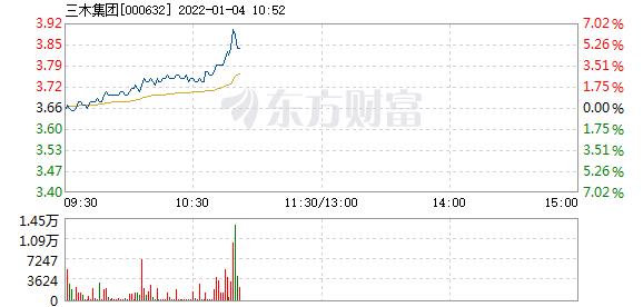 三木集团1月4日快速上涨
