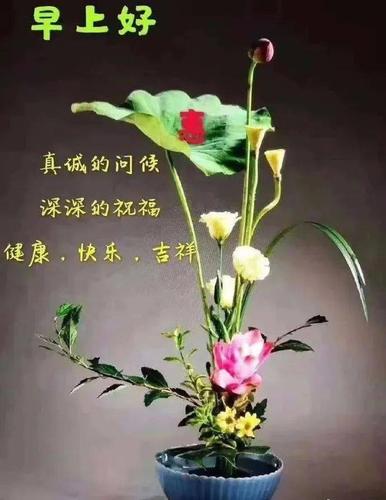 早上好问候美图,早安问候语句._祝福