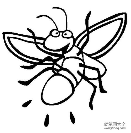 昆虫图片萤火虫简笔画图片大全|昆虫图片,萤火虫简笔画图片