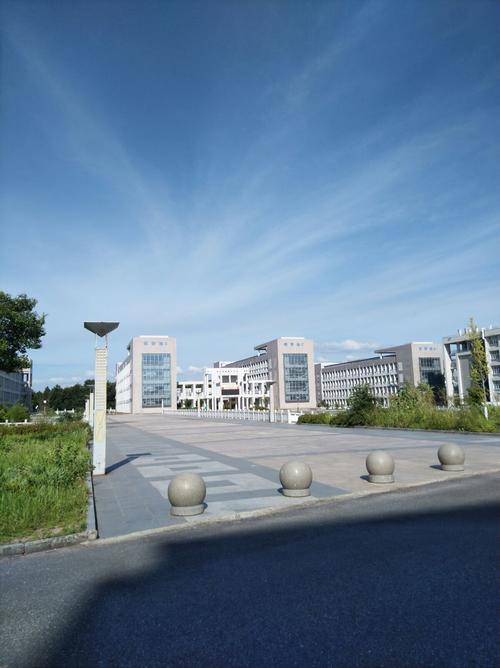 安徽省枞阳中学,四时之景