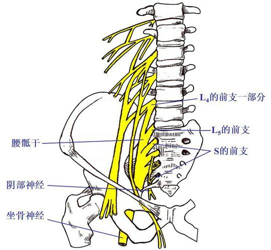 收藏贴颈椎腰椎ct常见病变你都了解吗