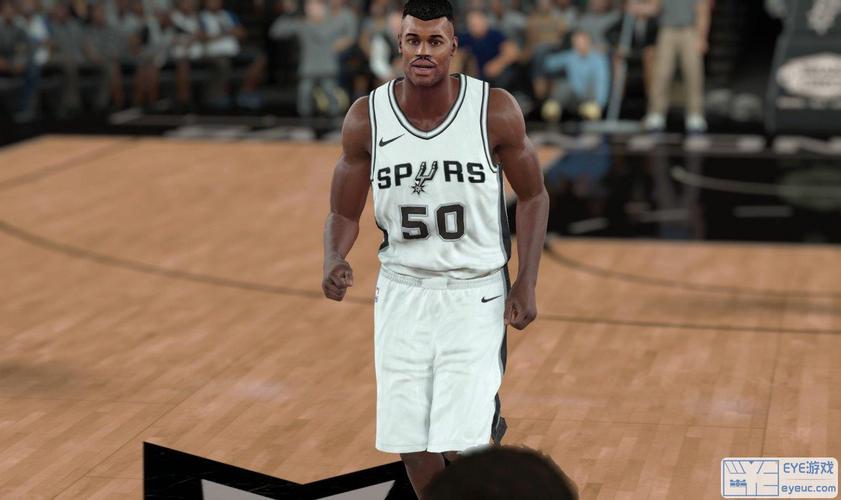 大卫-罗宾逊面补(身形 面补)