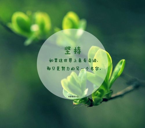 爱壁纸专场#语录,文字,励志,情感,文字壁纸,壁纸,插图,风景,原创设计