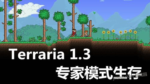 terraria泰拉瑞亚1.3专家模式生存攻略 视频连发