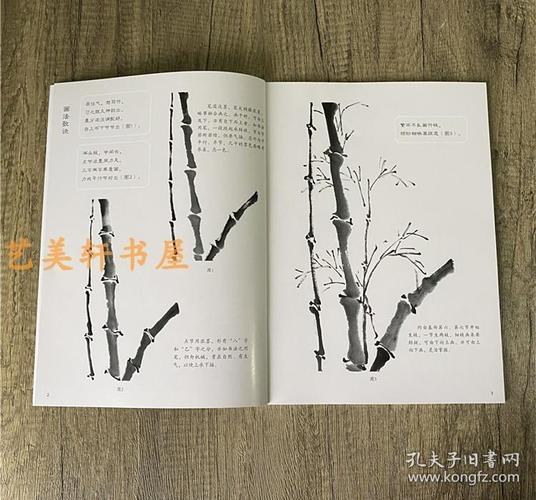 怎样画竹王传贺著画画入门自学零基础教程书教材写意竹子画法