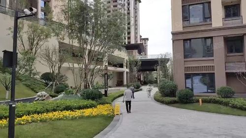 邦泰天誉,万龙路,近六号路-广元邦泰天誉二手房,租房