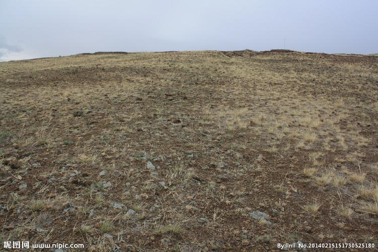 荒地图片