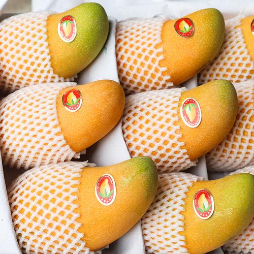 芒果新鲜水果海南大黄皮水仙金煌甜心礼盒盒装芒果