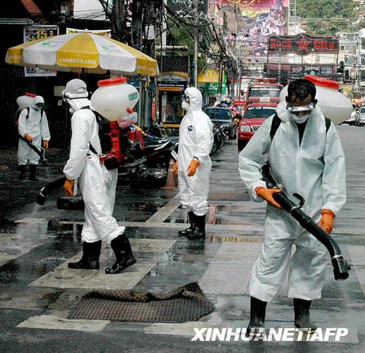 泰国旅游胜地严防甲型h1n1流感疫情