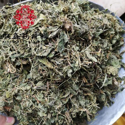 紫花地丁 苦地丁统段 产地 山东省